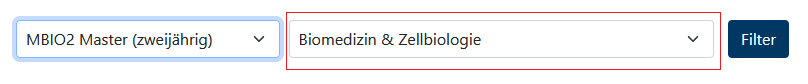 Wie filtere ich Module durch die vorgegebenen Auswahlmöglichkeiten?