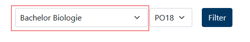 Wie filtere ich Module durch die vorgegebenen Auswahlmöglichkeiten?